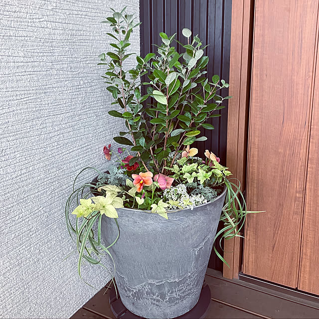 写真付きレビュー Llサイズ Artstone 大型 おしゃれ 植木鉢 12号 鉢カバー プランターカバー おしゃれ かわいい アマブロ アートストーン Amabro 安い プランター インテリアグリーン インテリア 北欧 37cmの通販商品 口コミ情報 Roomclipショッピング