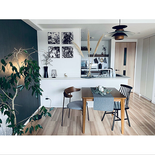 murakamihirokoの-北欧家具 ダイニングチェア　カフェ スタイル　カジュアルでモダンなインテリアのアクセントになるチェア　NRT-C-325の家具・インテリア写真