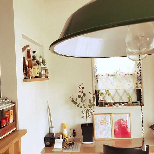 mamemamの-のびのび育つ 『 スリット鉢 スクエア 』 6号角型の家具・インテリア写真