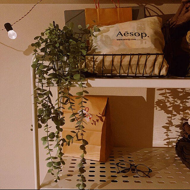 hsy100kiのイケア-[IKEA/イケア/通販]FEJKA フェイカ 人工観葉植物, 室内/屋外用/つり下げ型[D](c)(40349545)の家具・インテリア写真