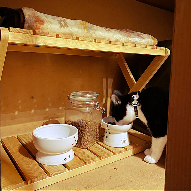 YUKA-REO-MOMOKOの-猫壱 ハッピーダイニング 脚付フードボウル 猫柄 シリコン付き(1個)【猫壱】の家具・インテリア写真