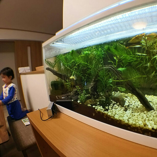 tamagokakegohanのジェックス-ＧＥＸ　デスクボーイ６００　ホワイト　５点セット　熱帯魚・アクアリウム/水槽・アクアリウム/水槽セットの家具・インテリア写真