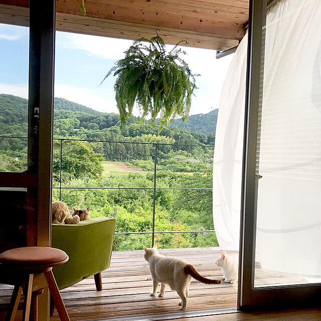 sakurasakuの-SPIN STOOL スピンスツール 広松木工 （送料無料）の家具・インテリア写真