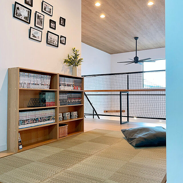 srjaのイケヒコ・コーポレーション- い草ラグ　ＤＸノア　【イケヒコ】の家具・インテリア写真
