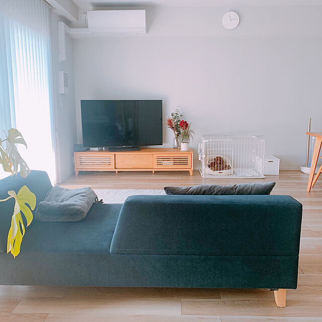 arinonのニトリ-収納ケース Nインボックス(W)用 フタ レギュラー クリア の家具・インテリア写真