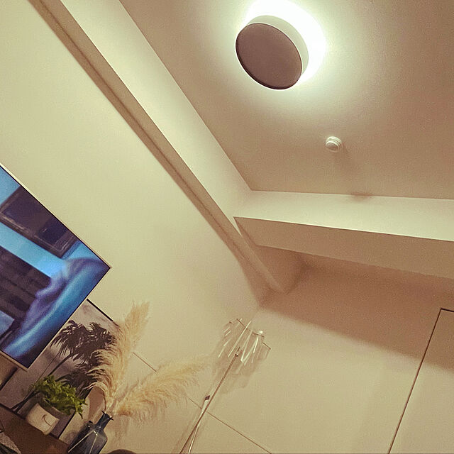 高い素材】 ARTWORKSTUDIO シーリングライト Glow Ceiling Lamp econet.bi