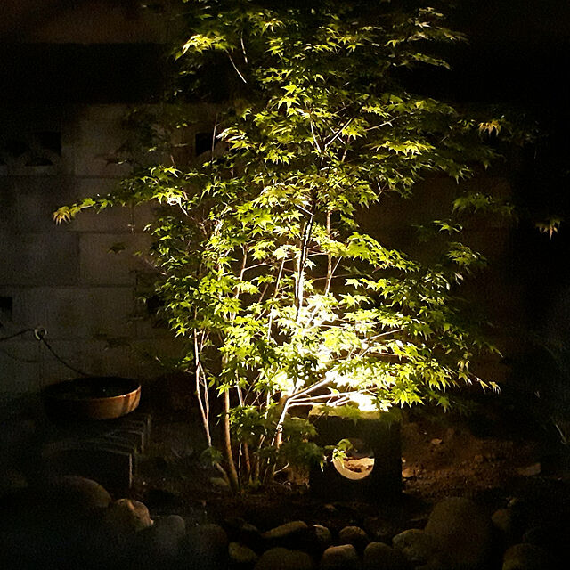 kazuraの-タカショー ひかりノベーション 木のひかり 壁のひかり 地のひかり LEDIUS HOME ガーデンライト 屋外用 DIY 間接照明 屋外照明 イルミネーション ライトアップ 省電力 (10)の家具・インテリア写真