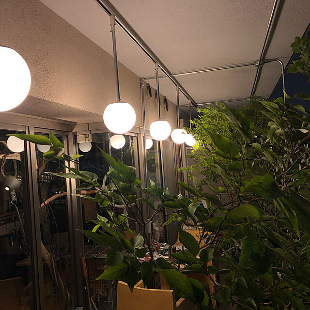 whistlerの東芝ライテック-LED 照明器具LEDペンダントライト LEDP88569の家具・インテリア写真