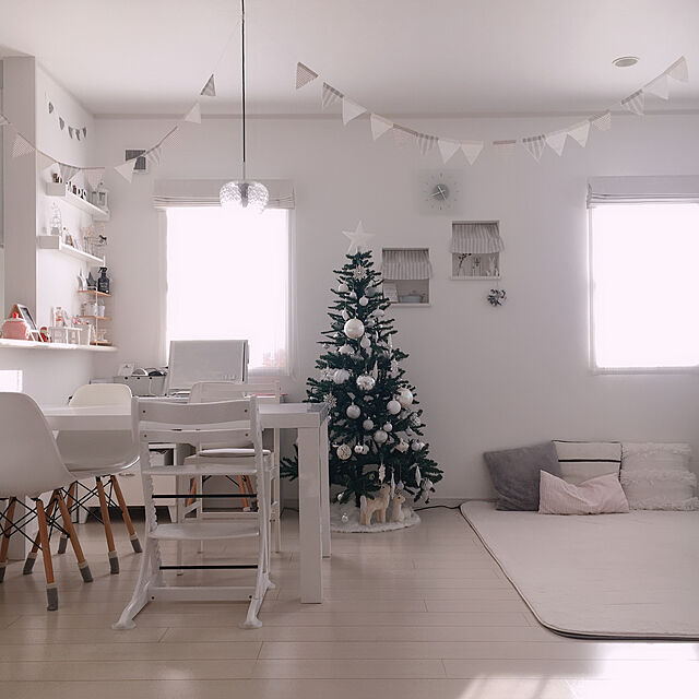 t.m.r.sのニトリ-ボール2個セット MONOホワイト の家具・インテリア写真