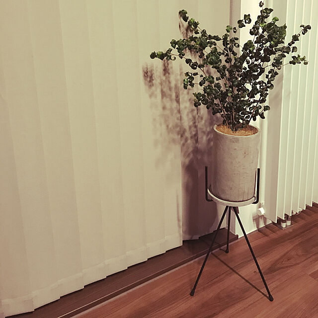 JUNcocoの-植木鉢 おしゃれ コンクリートポット CC001-120 4号(12cm) / 陶器鉢 セメントの家具・インテリア写真