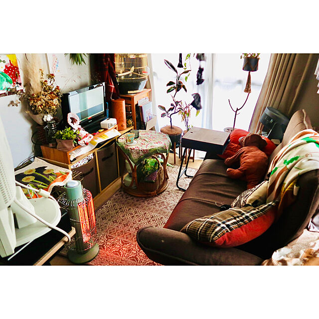 parrotのニトリ-遮光2級・遮熱カーテン＆遮熱・ミラーレース4枚セット(ディアラBE 100X178X4) の家具・インテリア写真