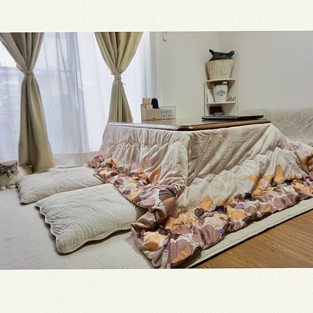 cyamiのニトリ-レースカーテン(エスパス ローズ 100X176X2) の家具・インテリア写真