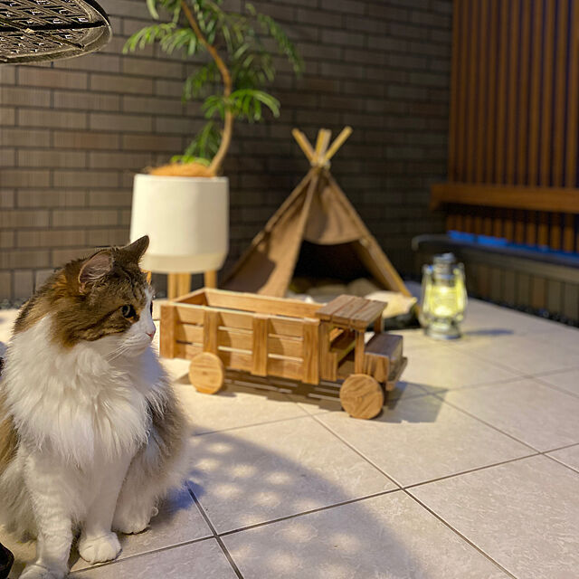 furitamaの-ペット用テント ティピーテント 犬 猫 ペットハウス ペットテント###ペットテントWBMG###の家具・インテリア写真