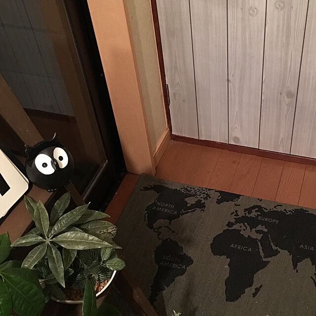 Lupinthe3rdのニトリ-シェニール フロアマット(ワールドマップT 50X80) 【玄関先迄納品】の家具・インテリア写真