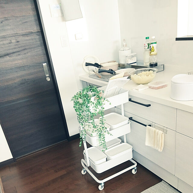 tata-kukuのニトリ-ハンギンググリーン パンドル の家具・インテリア写真