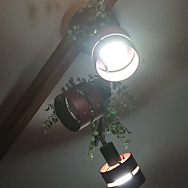 Tackunの-シーリングライト おしゃれ 4灯 6畳 8畳 リモコン付き  レダ Leda 照明 LED 対応 スポットライト ライト インテリア照明 天井照明 照明器具の家具・インテリア写真