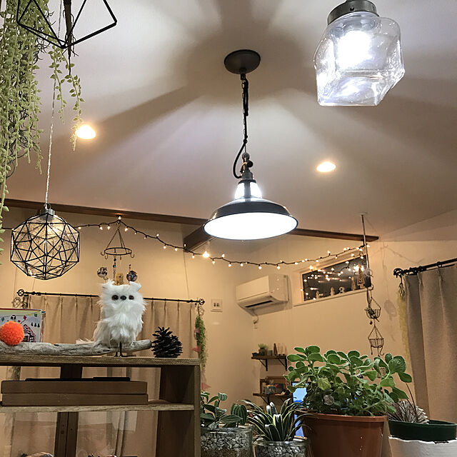 momomamaのニトリ-LEDライト ゴールド 200球(AH) の家具・インテリア写真