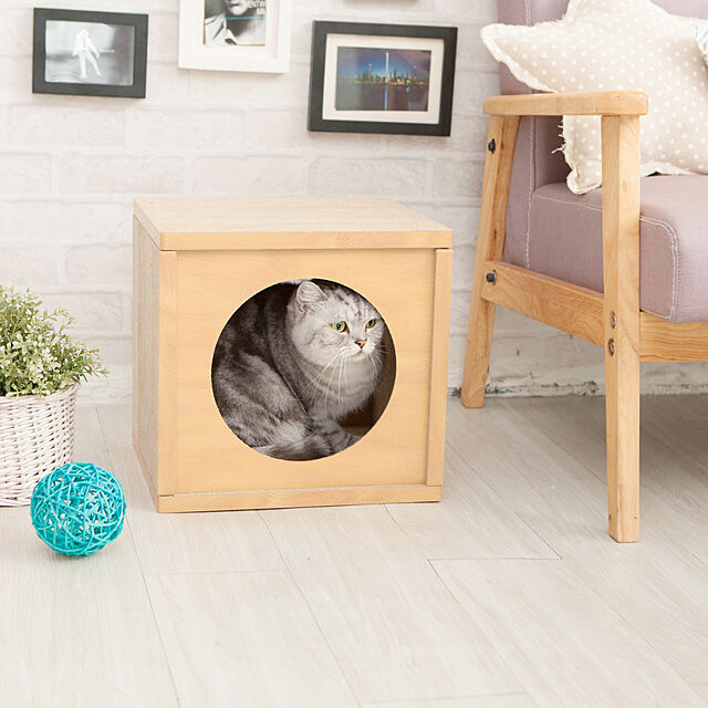 i_wishの-HappyDays キャットハウス ナチュラル ペット ケージ ダンボール 段ボール 猫 猫用の家具・インテリア写真