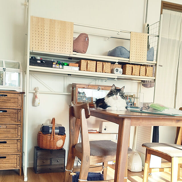 +CHIHARU+の-salut!(サリュ) ライフスタイル ガラスマルチ引き出しボックス ブラウンの家具・インテリア写真