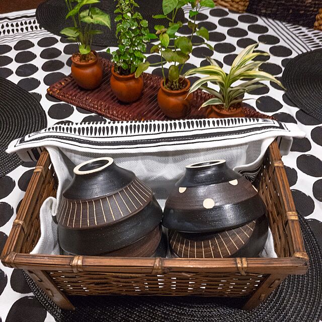 cocotaiのエムズスタイル-T-Family 伸光窯 ブラック&ビター ドット ご飯茶碗(小)の家具・インテリア写真
