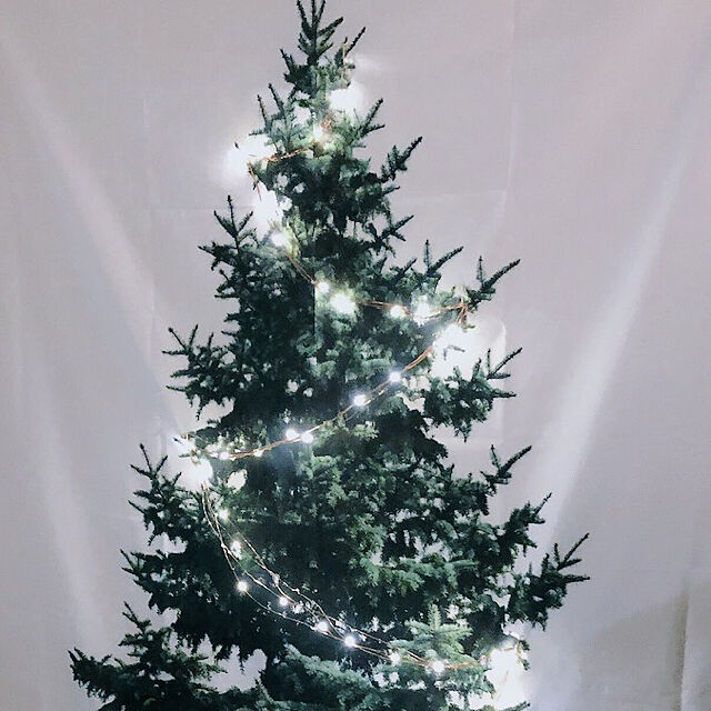take0818の-クリスマスツリー タペストリー ツリータペストリー 150×100cm 場所を取らないクリスマスツリー タペストリーツリー もみの木・星バージョンもの家具・インテリア写真