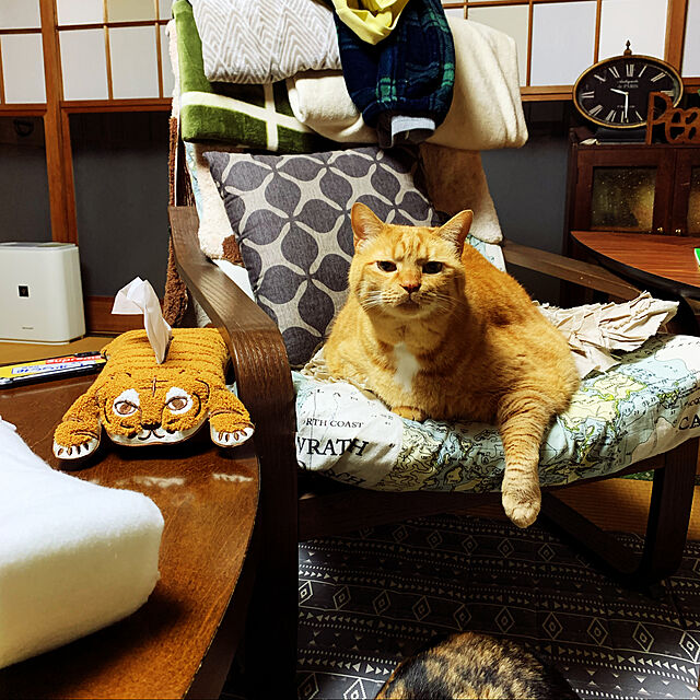 choroの-相良刺繍 トラ ティッシュカバー敷物風 収納 お部屋 ルームアクセサリー 箱無しティッシュの家具・インテリア写真