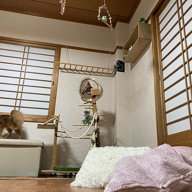 toratanのニトリ-クッションカバー(Nウォーム カリーヌ RO) の家具・インテリア写真