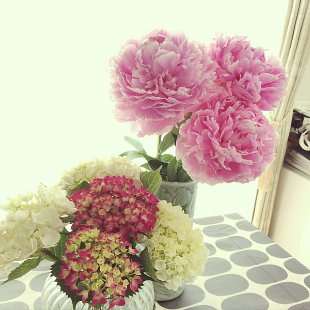 写真付きレビュー シャクヤク 芍薬 八重咲き 切り花 ピンク 生花 10本 造花ではありません しゃくやくの通販商品 口コミ情報 Roomclipショッピング