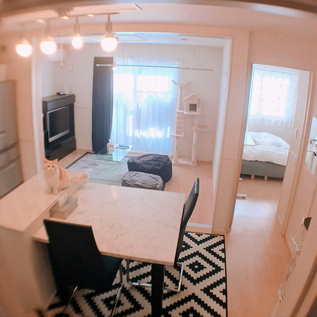 H.Tのニトリ-レースカーテン(シエヌ 100X176X2) の家具・インテリア写真