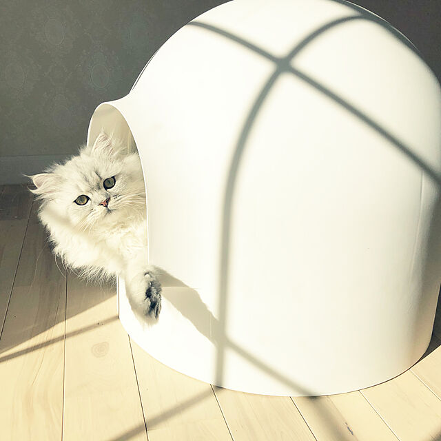再入荷送料無料  ピダン 猫用トイレ スノードーム型 猫