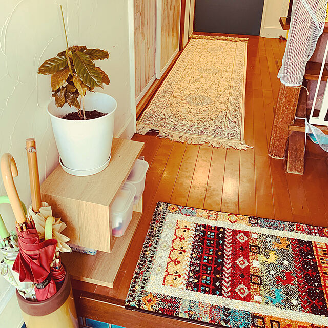 yumのイケヒコ・コーポレーション-玄関 マット トルコ ウィルトン 織り 約50×80cm 抗菌防臭 消臭 へたりにくい ギャベの家具・インテリア写真