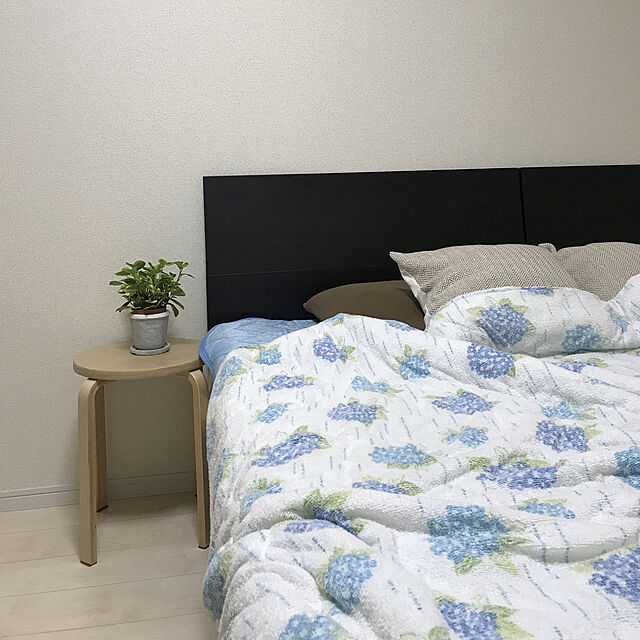 umeboshi08のニトリ-敷きパッド(Nクール クジラ H) の家具・インテリア写真