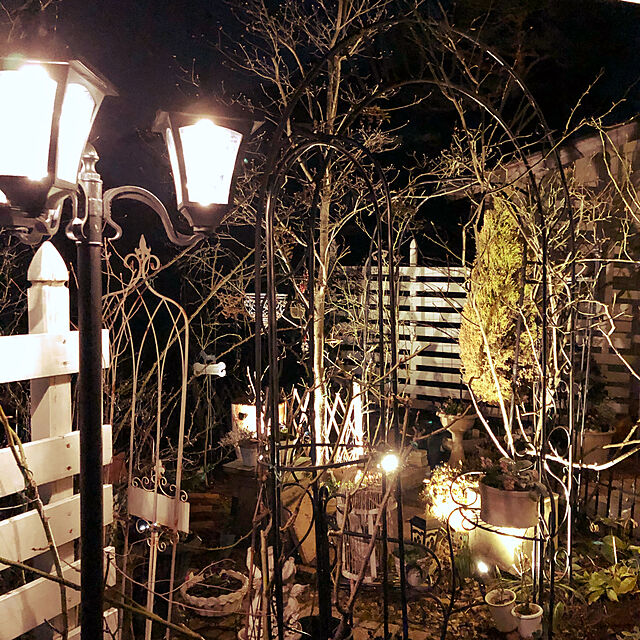 pupuのタカショー-タカショー ひかりノベーション 木のひかり 追加用ライト LGL-LH01 4975149756957 （ 明るい ガーデニング 照明 ライトアップ 屋外 間接照明 ）の家具・インテリア写真