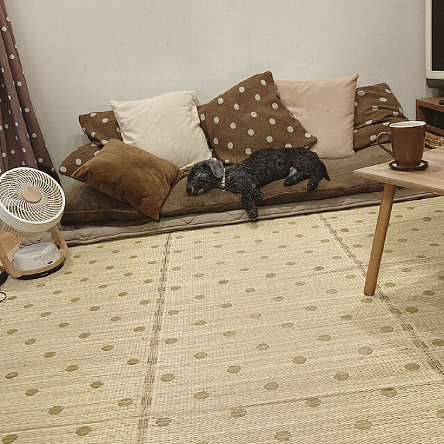 nnramの-水玉紋様をあしらった涼しげでおしゃれない草ラグです。 "い草ラグ"《プレーンドット　180×240cm》　い草ラグ 涼感　ヒーリングラグの家具・インテリア写真