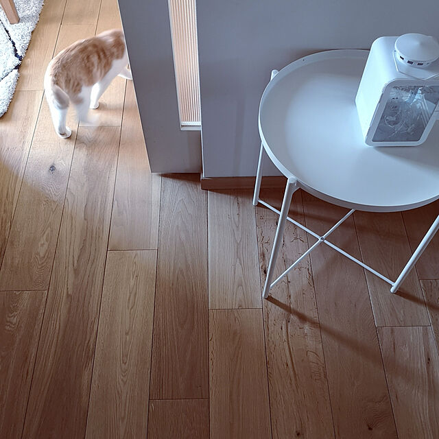 koyurizuのイケア-ＩＫＥＡ/イケア　VINTER 2018　ティーライト用ランタン20 cm　ホワイトの家具・インテリア写真