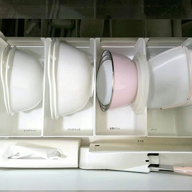 Mikaのリッチェル-リッチェル ボウル L 「レイ」 ホワイトの家具・インテリア写真