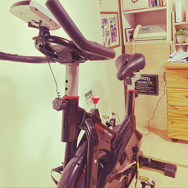 tonkoのSYRINX-Syrinx スピンバイク 静音 16kgホイール フィットネスバイク 家庭用 本格トレーニングバイク ダイエットバイク 室内自転車 トレーニングマシン 健康器具の家具・インテリア写真