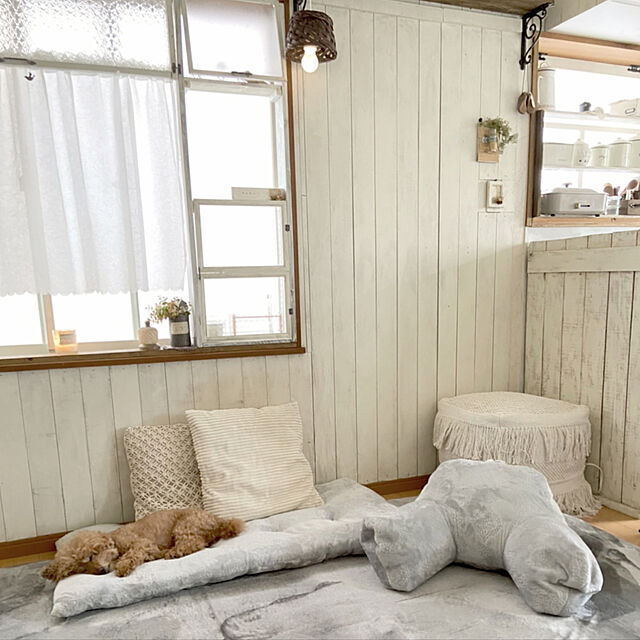 rookuのニトリ-レストクッション(ボーテ o-i GY) の家具・インテリア写真