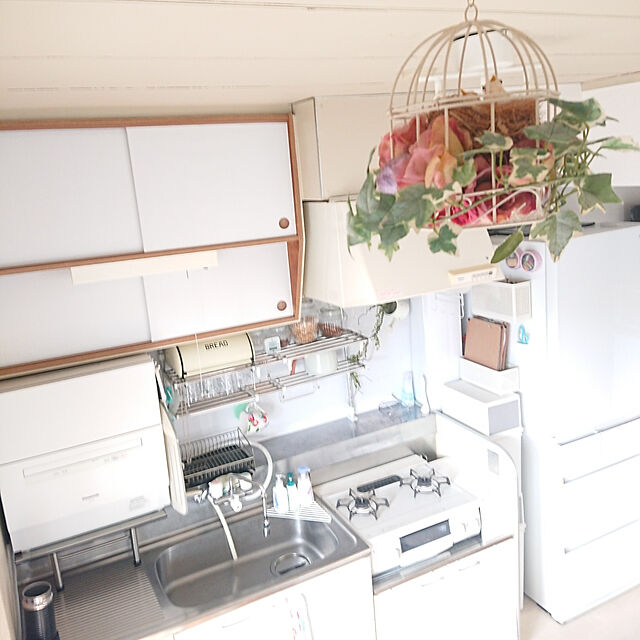 rikalynの-PANASONIC NP-TA3 ホワイト [食器洗い乾燥機 (5人用・食器点数40点)]の家具・インテリア写真