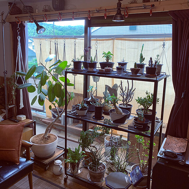 katsuakiのBARREL-ＡＭＡＴＥＲＡＳ　２０Ｗ　植物育成用ＬＥＤ　口金Ｅ２６　植物育成ライト　アマテラス　観葉植物　テラリウム　沖縄別途送料の家具・インテリア写真