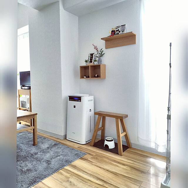 hihaのニトリ-ホコリがとれやすいラグ(クリーンアップ GY 185X185) の家具・インテリア写真