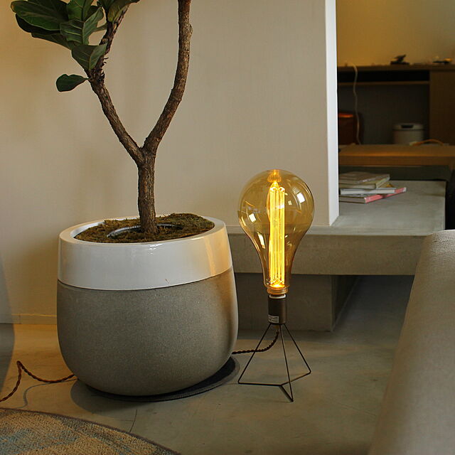 lifeis...のエジソンバルブLED-エジソンバルブ LED電球 ノスタルジアBIG E26の家具・インテリア写真