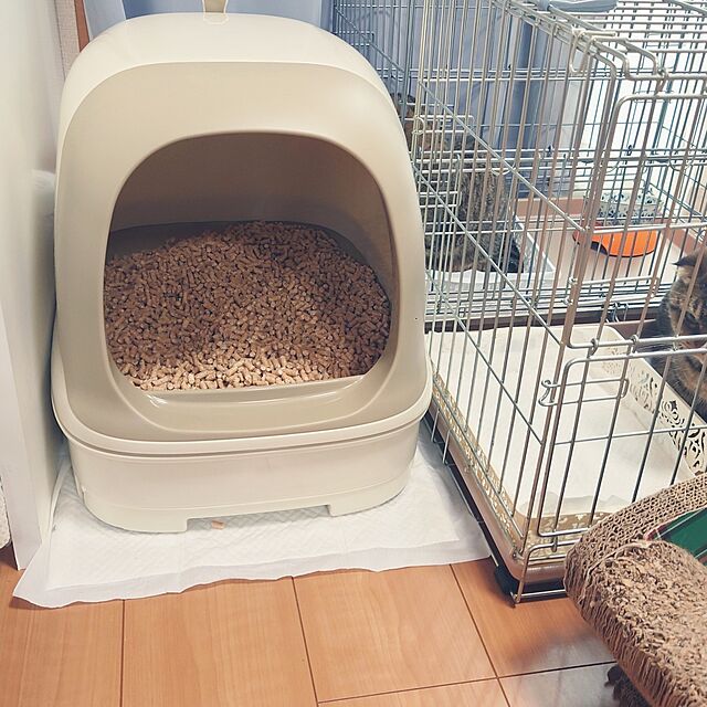 noguriのアイリスオーヤマ(IRIS OHYAMA)-ケージ 小型 犬 猫 折りたたみ ペットケージ ドッグケージ キャットケージ 折りたたみケージ アイリスオーヤマ OKE-450の家具・インテリア写真