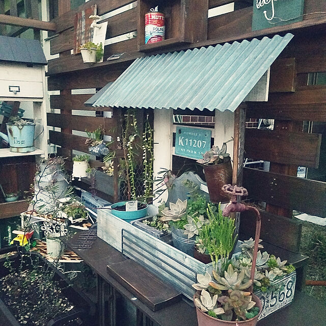 Nana40Nの-多肉植物　ハートカズラ（ラブチェーン）　ラベル付き3号サイズ苗インテリアグリーン　ネックレスプランツ　吊りの家具・インテリア写真