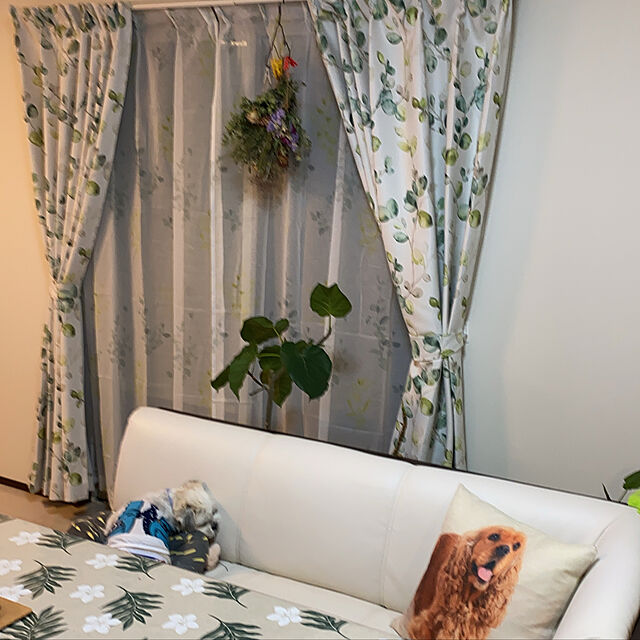 emiのニトリ-遮光2級・遮熱カーテン(ガーデン100X200X2) の家具・インテリア写真