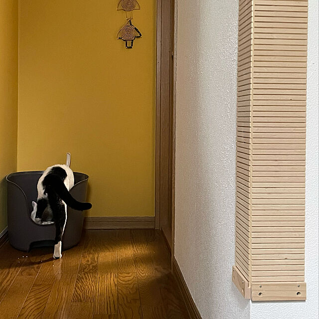nobikoの-リッチェル ラプレ 壁高ネコトイレ　ダークグレー（92502034）の家具・インテリア写真