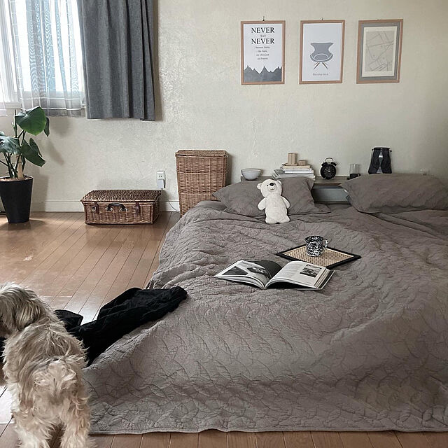 nuunao2019のHangzhouDeLiangMaoYi-綿 無地 ベッドカバー ベッドスプレッド マルチ カバー キルト おしゃれ ダブル 綿100% 3点セット (灰色の)の家具・インテリア写真