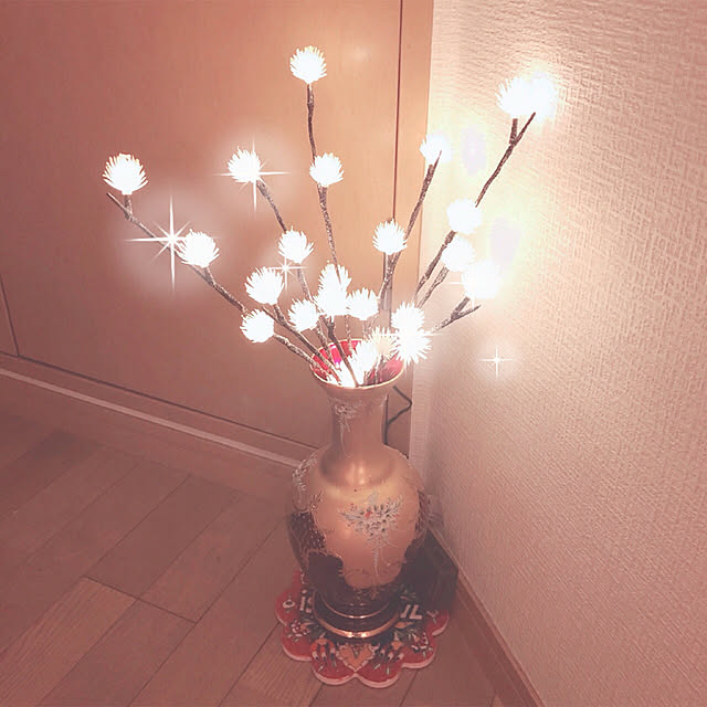 写真付きレビュー Hairui イルミネーション Led ライト 枝 お花 24電球 テーブルトップ ランプ 卓上 ブランチ 造花 ライト 電池式 高さ45cm フラワー 北欧風 インテリア オシャレ 花瓶が含まない の通販商品 口コミ情報 Roomclipショッピング
