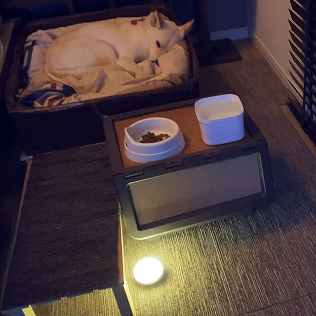 thのニトリ-感LEDセンサーライト ルームーンストーン の家具・インテリア写真