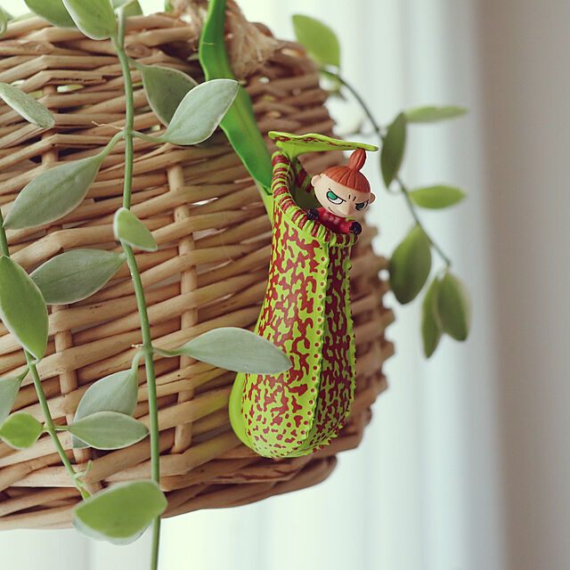 miechuraのノーブランド品-巨大花と食虫植物 ガチャ 全４種セット ラフレシア ウツボカズラ フィギュアの家具・インテリア写真